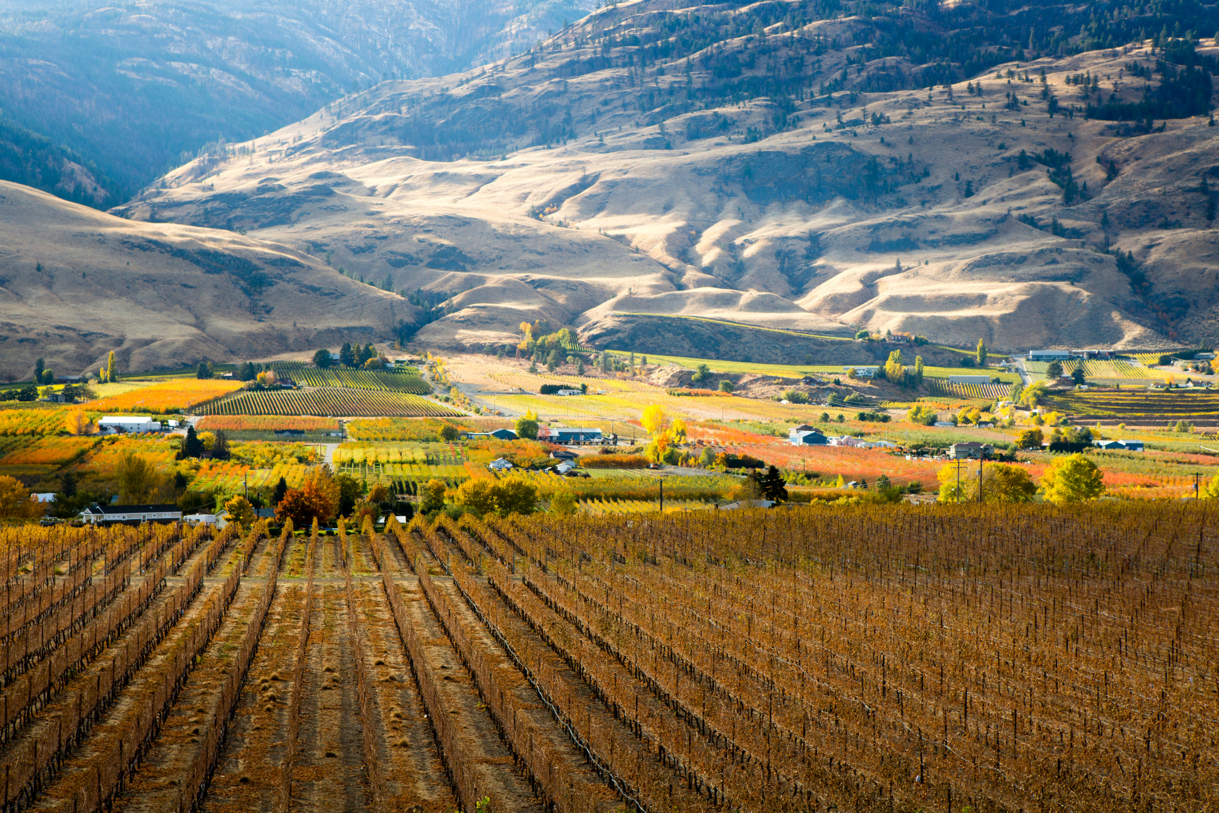 okanagan falls, british columbia (3).webp
